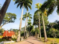 Feijoada das Crianças no BioParque do Rio